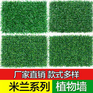Simulation lawn Green Plant Wall Artificial Plastic Coventy Cao Ping Cao Bean Pyrine Milan grass plant wall Flower and plants decoration