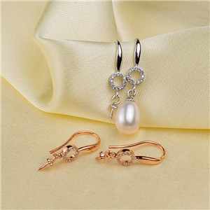 Earring holders(91)