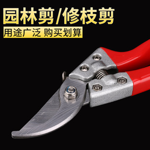 Wholesale Spot Wholesale Labor-Saving Manual Pruning Shears Fruit Tree Pruning Shears Multifunctional Branch Shears Garden Scissors Green