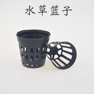 �~�� ˮ�ݷNֲ�@�� ˮ�ݱ� ���bˮ������̖ �M�������� ˮ�ݻ@��