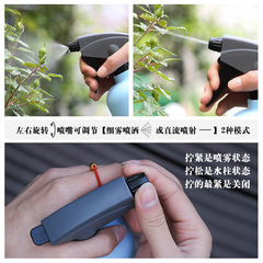 Foreign trade supply candy-colored small watering kettle spray kettle watering kettle disinfectant spray 600ml watering kettle 8001