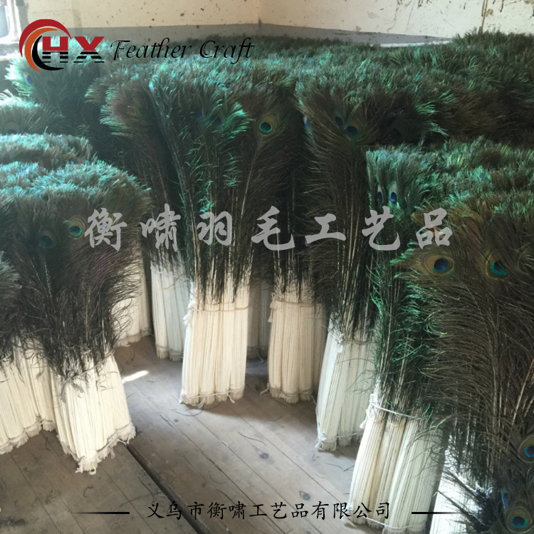 True Peacock Feather 110-120cm Peacock Hair Vase Fashion Decoration Wedding Feather DIY Jewelry Accessories