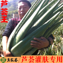 �����������J�C����Ժ�J�C���w��������ʳ�����r�҃ȴ��J�Cֲ��