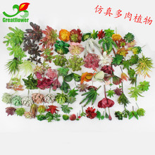 �������ֲ��S�� �������滨�[��DIY΢���^ ����ֲ��bٻ�