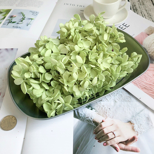 Magic flower immortal flower A-grade wooden hydrangea 20g birthday handmade hair accessories flowers diy wedding bouquet material package preservation