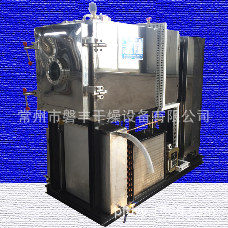 1平方冻干机 蜜饯果脯蔬果真空冷冻干燥机 芒果脆片低温冻干设备