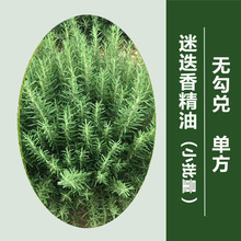 oԵ㾫͆η100mlolֲ޹ԭԵ㾫