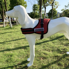 Sports Dog harness setȮäȮرoĎ