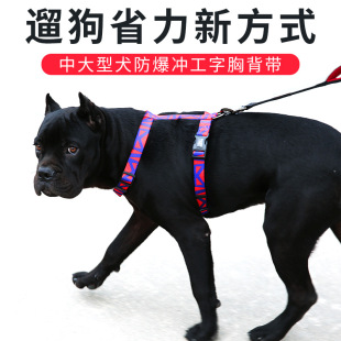 �羳�����ر��� �p�㲻մëײɫ���͸��W��С�������KС�͌���