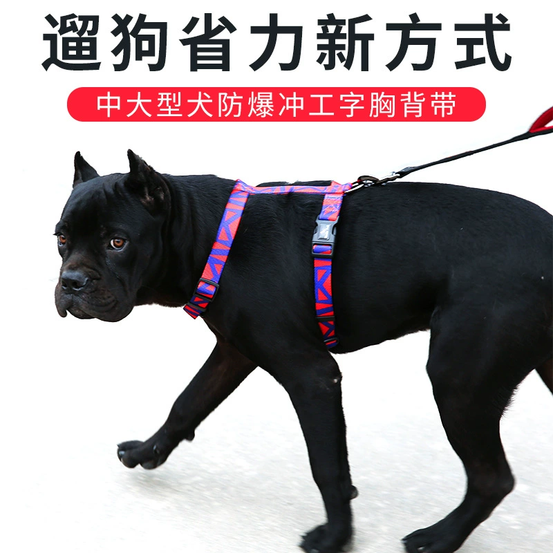 Трансграничная шлейка для собак, легкий, антипригарный, контрастного цвета, дышащий сетчатый поводок для щенков для маленьких домашних животных на прогулке.