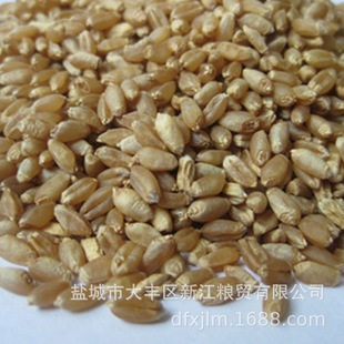 ��С�� ���ӼZ���x �B�����Z ���������  ���L�^�Y�S��