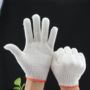 �Ԯa���N�޼�������ĥ���װ�ɫ�������o����500�˹����ڱ�����