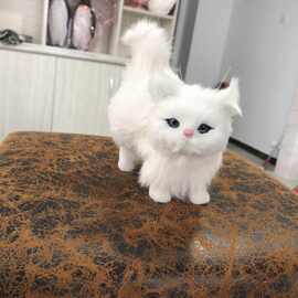 跨境六色真皮小站猫生日礼物猫工艺品仿真猫咪家居装饰品猫咪模型