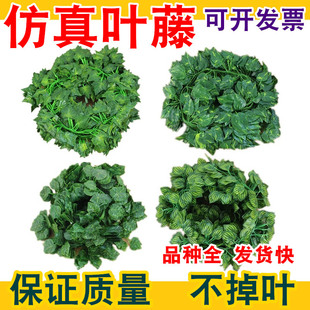 ���l���������~��ɽ���ٗl�ڻ������~����ֲ��G�}�~�ٻ��b�����