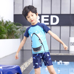 Korean new children's swimsuit boy's split swimming trunks baby cartoon foreign trade wholesale little boy professional swimwear