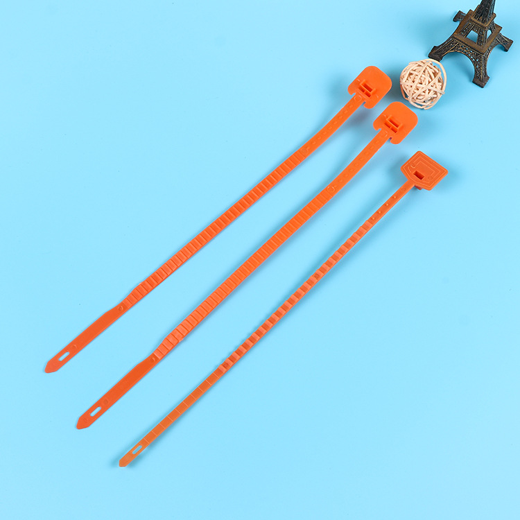 厂家批发一次性塑料封条 商品标签扎带 吊牌封签挂锁 27cm