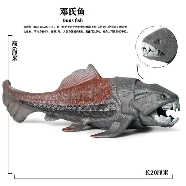 PL127-572 Deng's Fish