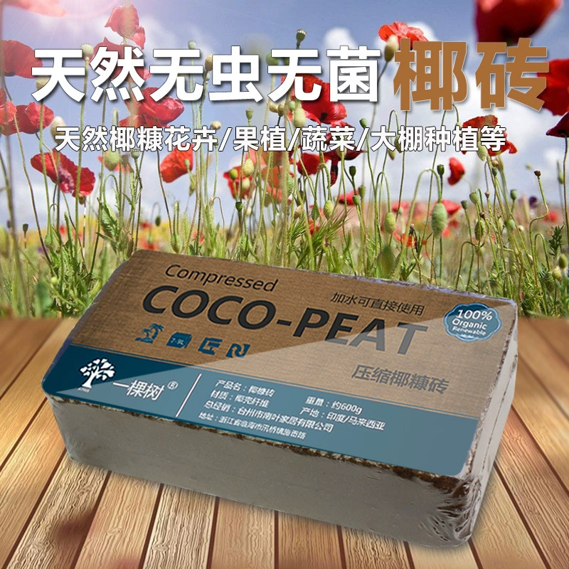 Кокосовый кирпич питательная почва Кокосовый отруби почва посадка кирпич универсальная органическая почва сочная