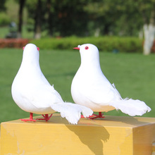 ������� ���w����ƽ�� ��ɫ���ӻ�c�b�ˇƷ