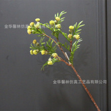 单只刺柏澳洲米花橱窗装饰仿真果子枝红豆杉崖柏装饰树叶厂家批发