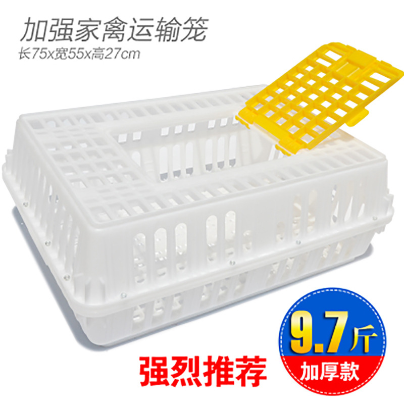 厂家直供东莞惠州家禽周转箱 塑料运输鸡笼塑料鸡框 折叠蛋鸡鸡笼