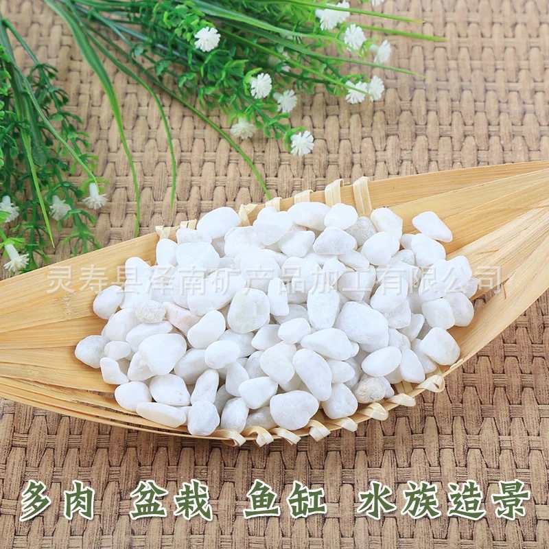 多肉铺面 白色机制鹅卵石 水磨石 园艺鱼缸装饰 白石子 量大价优