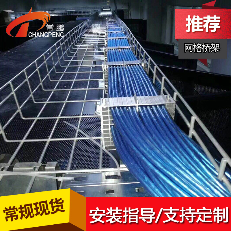 上海桥架厂家 电镀锌网格式桥架250*100mm 常鹏