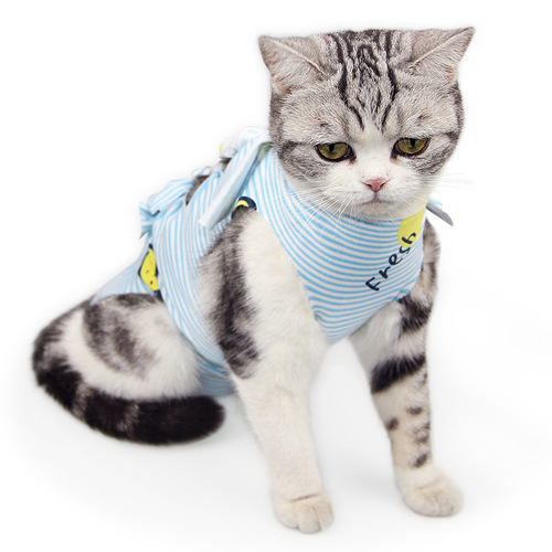 Pet Post-Operative Recovery Bandage for Mother Cats, Neutering Suit for Kittens, Weaning Clothes for Cats, Breathable Physiological Suit, Anti-Licking and Anti-Biting