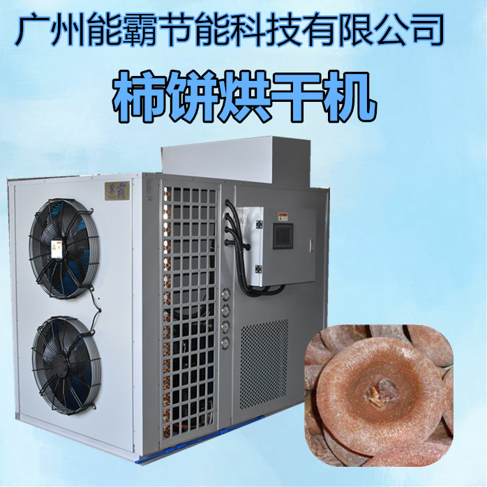 柿饼烘干机 空气能热泵柿饼烘干机设备 箱式柿饼烘干房