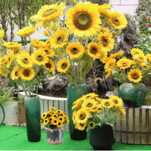 ���滨 �������տ� �������տ� 9�^���տ��Ƶ��d�zӰ�����b�