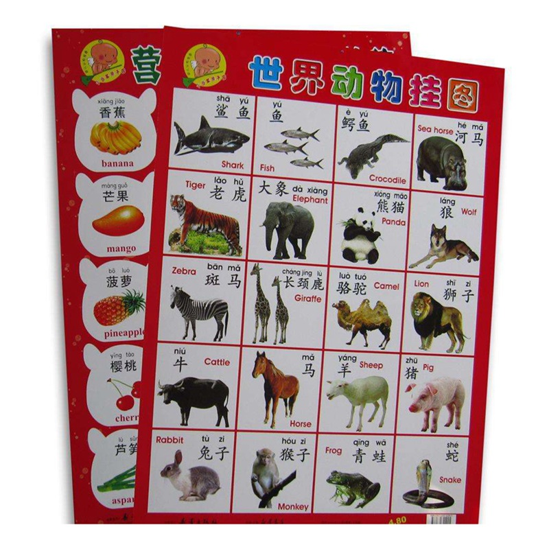 无声挂图厂家定/制 儿童益智挂图汉语拼音字母表看图识字墙贴印刷