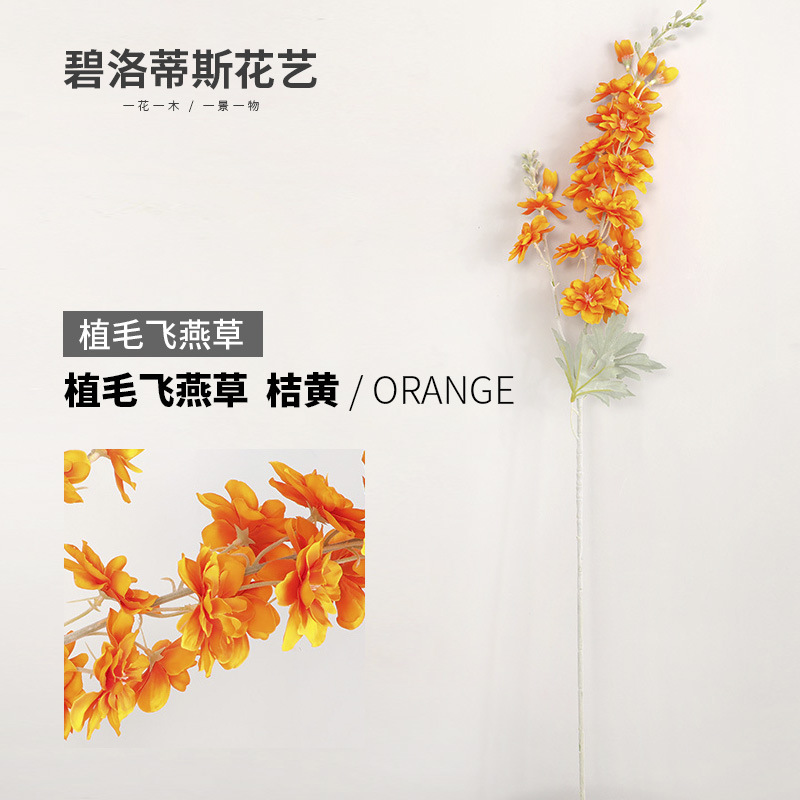 오렌지 옐로우