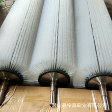 尼龙丝植毛毛刷辊工业毛刷辊机械清洁工业专用圆形按需定 做批发
