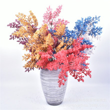 �ߙn��c���� ������ĭ�Fڡ�� �Ƶ��b� ��c�@�ֹ�����ĭ��֦