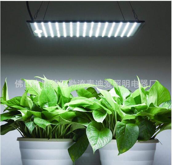 [Gran protección de patente, la falsificación debe ser investigada] 1000w tipo colgante modelo delgado luz de relleno invernadero invernadero frutas y verduras, etc.