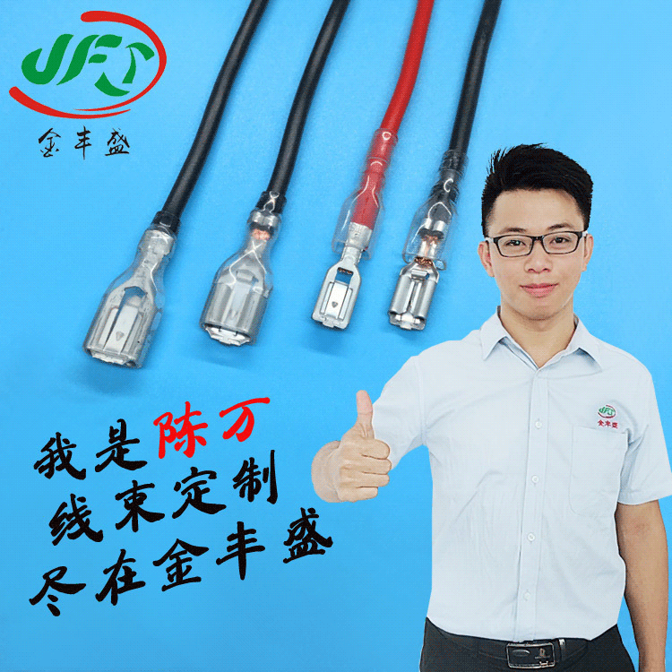 Factory Direct supply 187 plug spring tinned copper terminal line battery line power module line button switch connecting line Factory Direct supply 187 plug spring tinned copper terminal line battery line power module line button switch connecting line