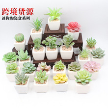 �����辰�������ֲ������Է��滨�Gֲ�[�������Ҿ��b��߷���