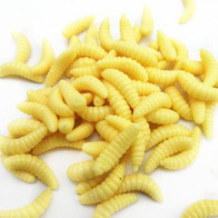 Lure imitating bait soft worm pupa mealworm Junebug mouthfish worm glow worm soft bait 500g/bag