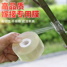 PVC Gɫ޽Ĥp@Ĥճʽ޽ĤĤp@޽ӹ