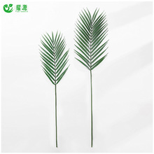 2026新款铁树叶 仿真绿树叶道具拍摄影 软装植物墙配草高仿真植物