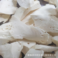 ���� ���� �S�����l ���� ��ѿ�� ������ ζ����