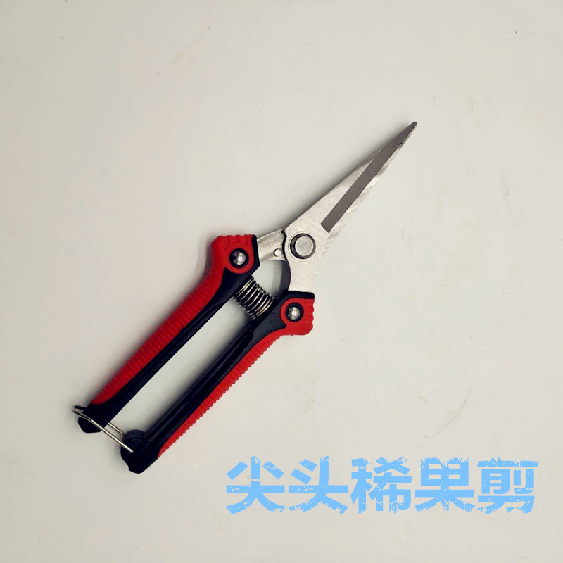 园林摘果修枝剪尖头果农园艺葡萄剪刀果园不锈钢直头稀果剪批发