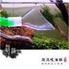 Cross -border hot -selling fish tank horn out of water outlet aquarium lily outlet glass stainless steel entry and exit water pipe