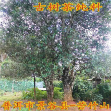 ���l����ն���Ř��2023�괺������ɢ��С���ȿ���ɽ�Ř�較��