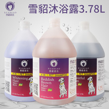 110代理控价雪貂留香宠物沐浴露3.78L 宠物用品宠物店狗狗香波