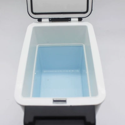 Xw-600 Car Refrigerator, Vehicle-Mounted Soyuducular