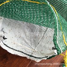 ֲ���� �o�¾G�W�� �ݷN�G���� �o�����B�� ߅�¾G��ֲ����
