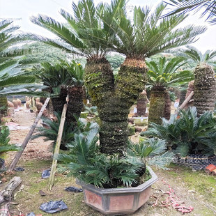 ���Ͷ��^�F�����l�p�^�����K�F���ݮ��������F��e���G���辰����