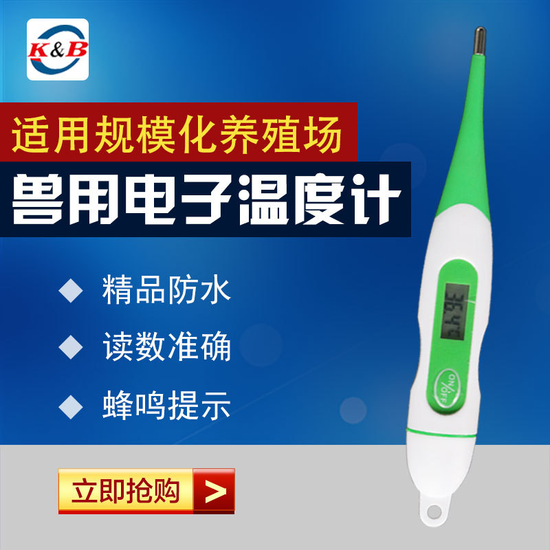 兽用电子体温计 电子体温表 温度计 猪牛羊鸡兔 软头防水