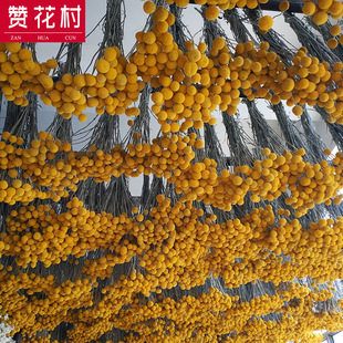 ��ٝ���塿����С�S�����L�� ��ϸɻ�������Ȼ�ɻ��滨�������l